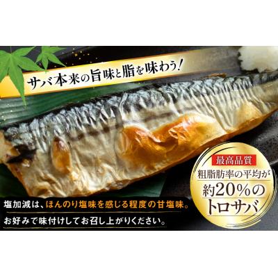 ふるさと納税 気仙沼市 訳あり 減塩 無添加 トロ塩サバ フィレ Mサイズ 総重量 3kg 20565687 |  | 03