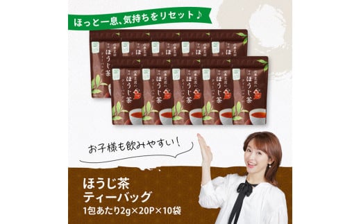 宮崎県産茶　ほうじ茶ティーバッグ20P 10袋セット 【 日本茶 国産茶 ほうじ茶 お湯出し ティーバッグ 】[C08702]