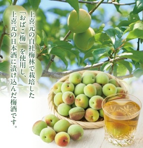 SA2430　酒田の酒屋厳選　上喜元 うめしゅ　720ml×2本