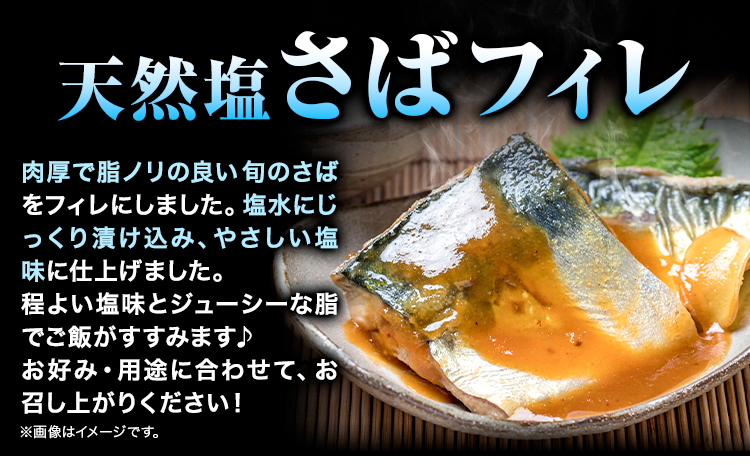 甘口塩銀鮭切身4切＆天然塩さばフィレ4枚 小分け 魚鶴《90日以内に出荷予定(土日祝除く)》和歌山県 日高町 甘口塩銀鮭 銀鮭 鮭 さけ 切り身 塩さば 鯖 さば フィレ(F-8)