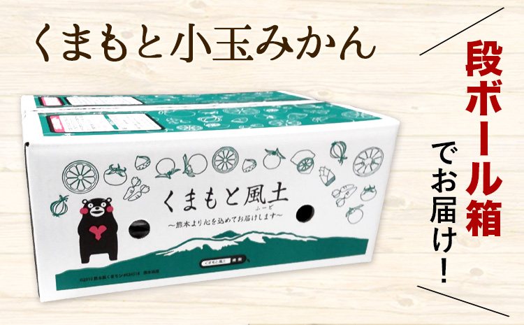 訳あり みかん 小玉みかん くまもと小玉みかん 2.5kg (2.5kg×1箱) 秋 旬 不揃い 傷 ご家庭用 SDGs 小玉 たっぷり 熊本県 産 S-3Sサイズ フルーツ 旬 柑橘 長洲町 温州み