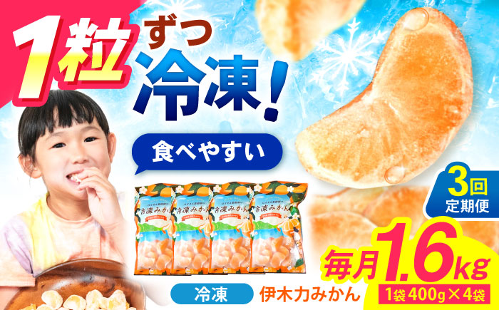 【3回定期便】冷凍 伊木力みかん 1.6kg(400g×4) / みかん ミカン 蜜柑 柑橘 フルーツ ふるーつ 果物 くだもの 冷凍 冷凍みかん / 諫早市 / 山野果樹園 [AHCF011]