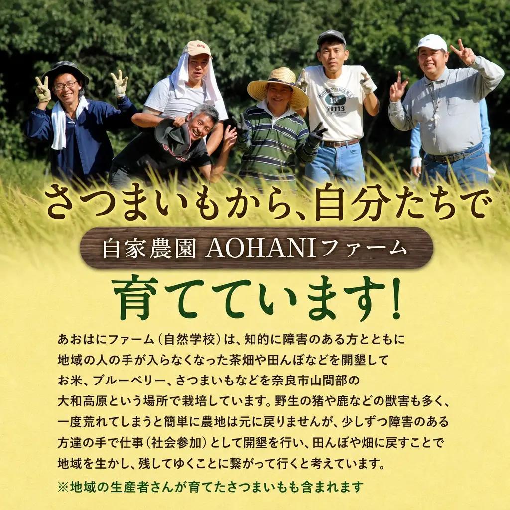 干し芋 480g 無添加干し芋 5-030