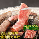 【ふるさと納税】くまもと黒毛和牛 黒樺牛 A4～A5等級 焼肉用カルビ 合計500g 250g×2 カルビ 焼き肉 和牛 お肉 牛肉 黒毛和牛 国産 九州産 熊本県産 冷凍 送料無料