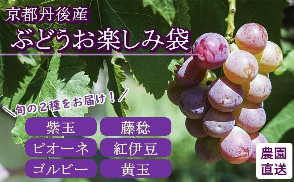 
            【先行予約／数量限定】京都丹後産 ぶどうお楽しみ袋（2025年9月～発送）　セット 詰め合わせ ぶどう ブドウ 葡萄 先行予約 期間限定 フルーツ くだもの 果物 先行申込　AM00670
          