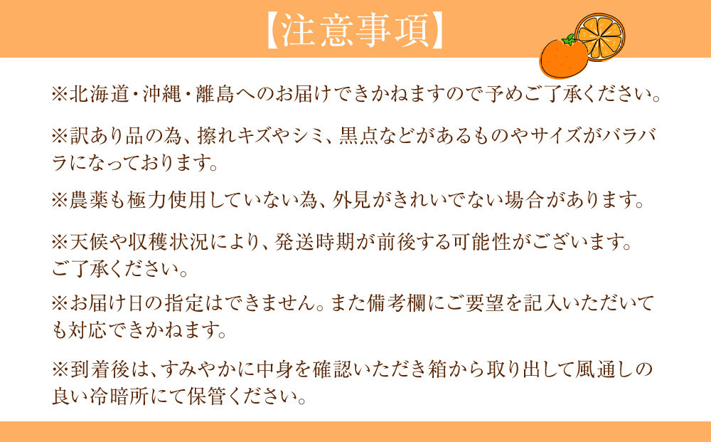 訳あり 森本農園の手選別 小粒清見オレンジ 約2kg 和歌山県産 2S～Mサイズ混合 ［北海道・沖縄・離島配送不可］［2026年2月上旬から5月中旬頃順次発送予定］［RN96］
