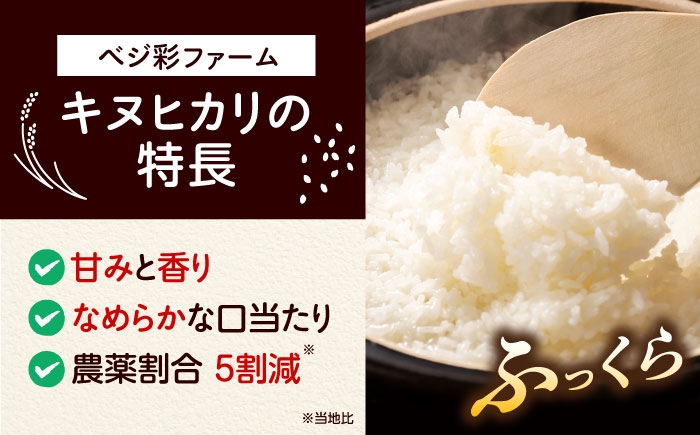 令和7年産 新米 キヌヒカリ 米 お米 白米 コメ おこめ 10kg 5kg きぬひかり 人気 おすすめ 産地直送 国産 新鮮