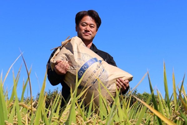 【令和7年度産】特別栽培米　奈良県広陵町産ヒノヒカリ　白米5kg