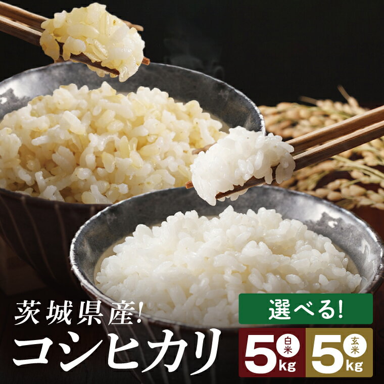 【ふるさと納税】【選べる内容量】コシヒカリ 白米 or 玄米 5kg【茨城県共通返礼品：高萩市】|お米 米 精米 玄米 こしひかり 茨城県 取手市（CB001）
