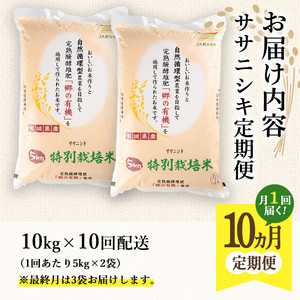 【10ヶ月定期便】ササニシキ100kg+5kg ta230【JA新みやぎ】