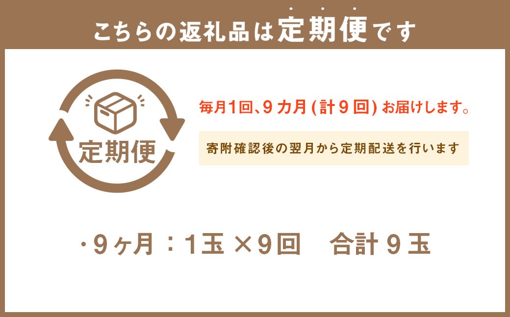 【9ヶ月定期便】静岡県産 高級アローマメロン 小玉 1玉（約0.9kg以上）