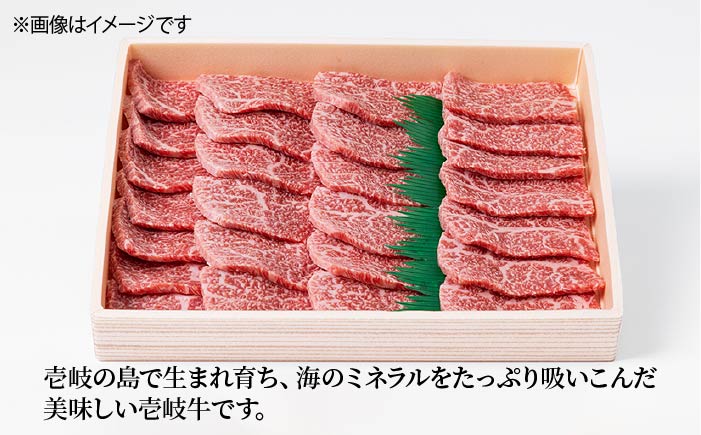 【全12回定期便】壱岐牛焼き肉セット 500g [JCG056]