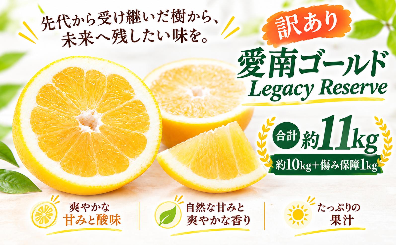 
                  【先行予約】訳あり 愛南ゴールド 約11kg（約10kg＋傷み保障1kg・箱込み） 河内晩柑 木成り 追熟 和製グレープフルーツ 柑橘 みかん ミカン フルーツ 果物 家庭用 サイズミックス 不揃い 傷あり 大容量 ジューシー 甘い 愛媛県愛南町 産地直送 国産 柑橘農家 Legacy Reserve 先代から受け継いだ樹 未来へ残したい味 エニシトラス 旬の味覚 愛媛県産 新鮮 厳選 愛南産
                
