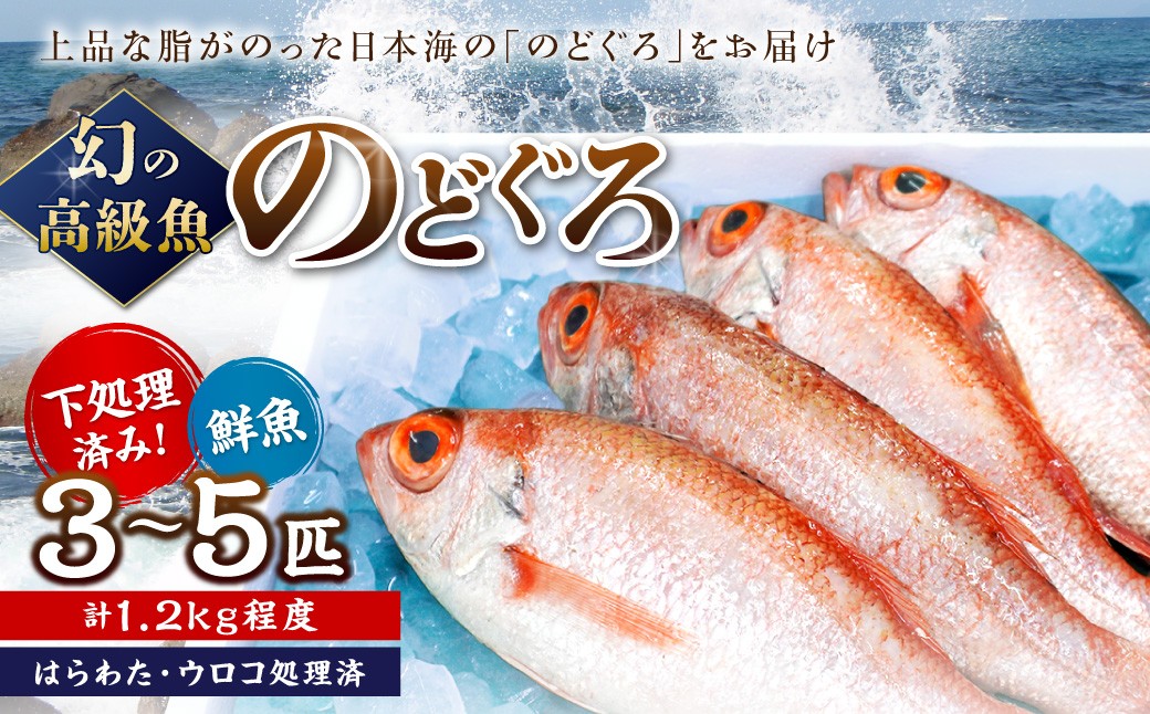 
                  幻の高級魚「のどぐろ（鮮魚）」のどぐろ 鮮魚 高級魚 旬 期間限定 アカムツ 浜田市【006_2041】
                