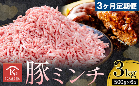 【3ヶ月定期便 】鹿児島 うんまか 豚ミンチ 計3kg 500g×6P 株式会社寺師《お申し込み翌月から出荷》鹿児島県 さつま町 豚肉 ミンチ 肉