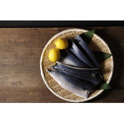 ふるさと納税 焼津市 5.0kg以上!国内産 無添加 塩熟 さば フィレ(a28-012) |  | 01