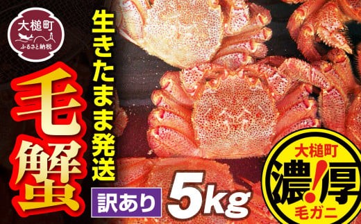 
                  【令和9年発送先行予約】【訳あり】三陸産 活毛ガニ 5kg【08】【2027年2月～4月発送】
                