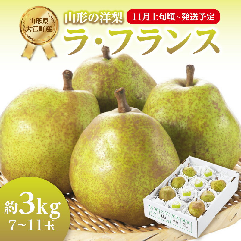 【ふるさと納税】 《先行受付》ラ・フランス 約3kg(7〜11玉)【2025年11月上旬頃〜発送予定】 ラフランス 洋梨 洋なし 果物 フルーツ 【山形県産洋梨】 レビューキャンペーン