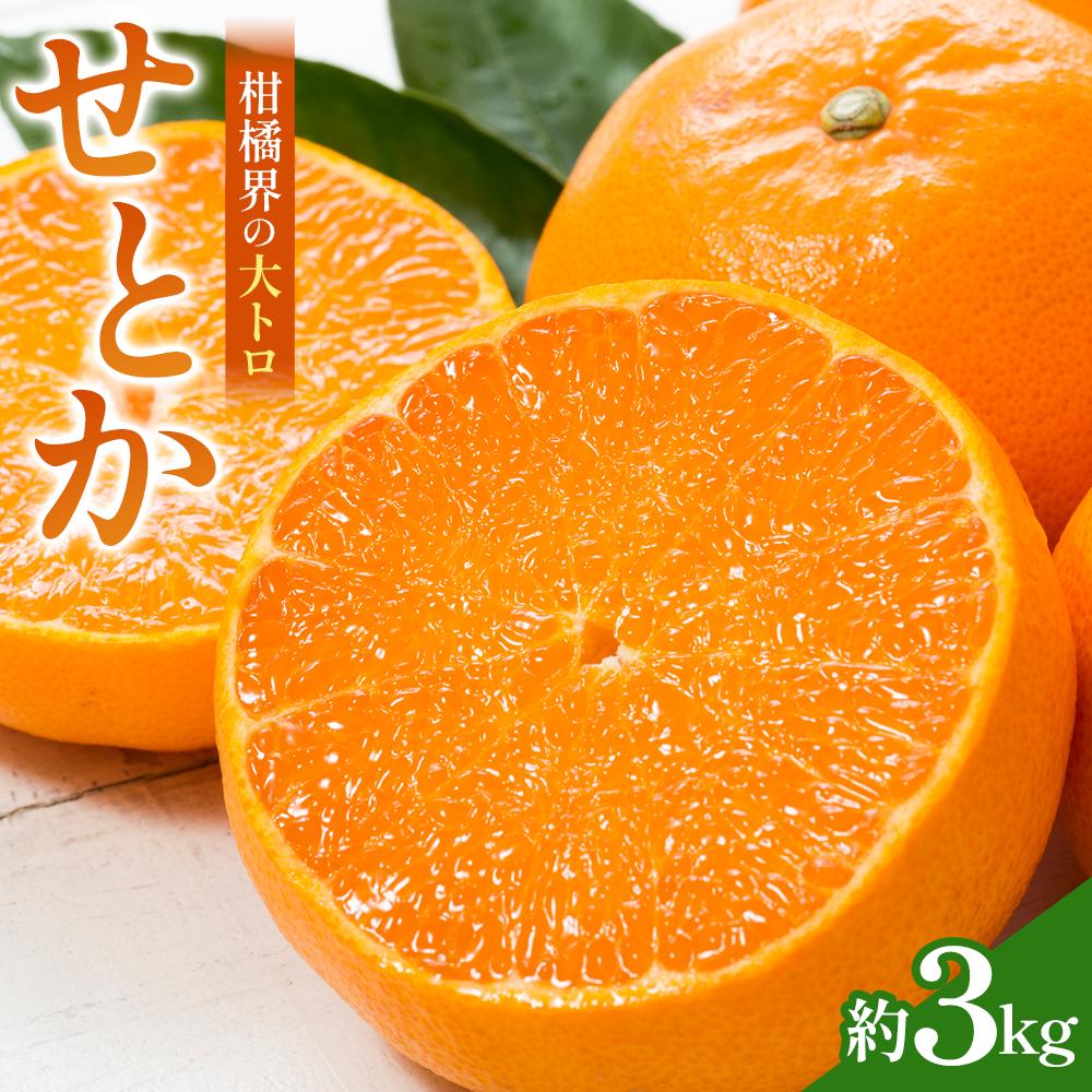 【ふるさと納税】【2026年2月中旬より発送】柑橘界の大トロ！せとか 約3kg | フルーツ 果物 くだもの 食品 人気 おすすめ 送料無料