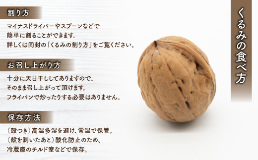 殻つきくるみ約1.4kg（2026年収穫分）｜JA信州うえだ東部地区営農課 ※2026年11月下旬以降発送 胡桃 信濃くるみ ナッツ 家庭用 自宅用 おつまみ おやつ 国産 信州 長野県東御市