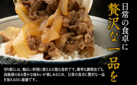 黒毛和牛 とちぎ和牛 焼肉　切り落とし A4～A5等級 霜降り 赤身 ステーキ 極上 900g 数量限定 牛肉 冷凍 《30日以内に出荷予定(土日祝除く)》 冷凍庫 個別 1kg以内 1kg以上 ブラ
