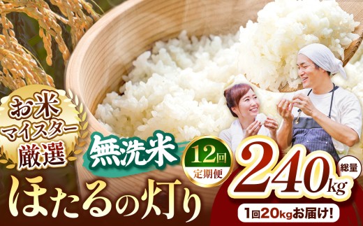 【定期便12回】熊本県産 ほたるの灯り 無洗米 20kg | お米 無洗米 ブレンド米 お米 家庭用 送料無料 お米 熊本 くまもと お米  熊本県  国産 KOKUSAN 国産米 熊本県 玉名市