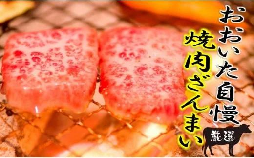 おおいた独り焼肉セット計700g/豊後牛中落ちカルビ,ホルモンほか（1158R）_イメージ1