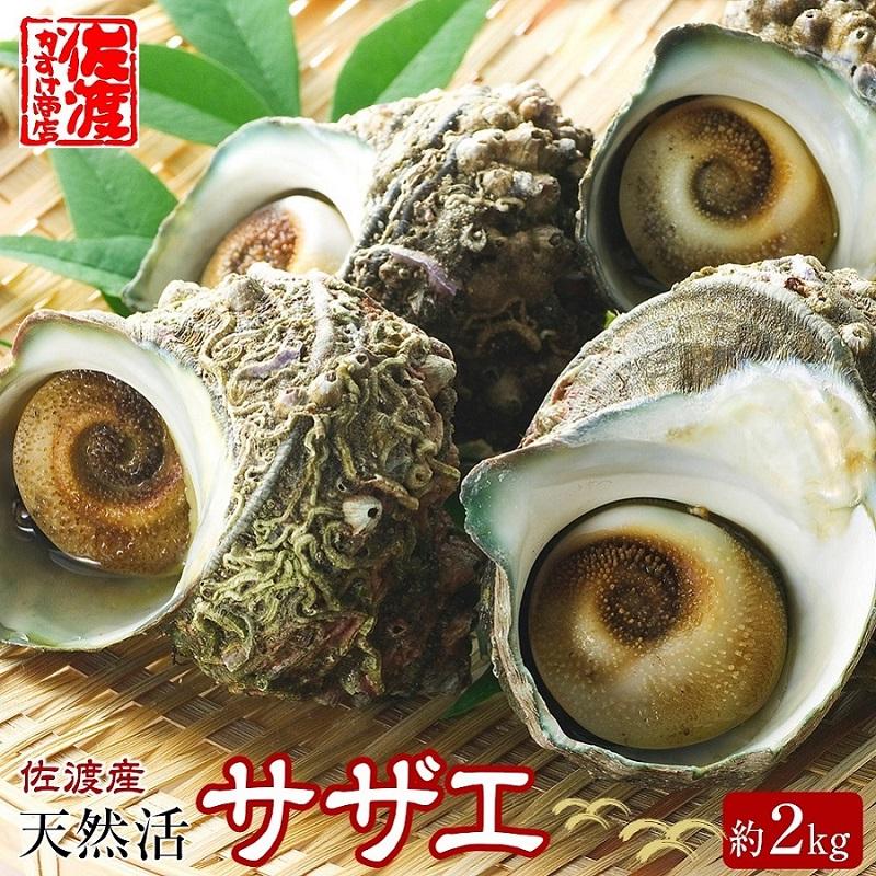 佐渡産 天然活サザエ 2kg