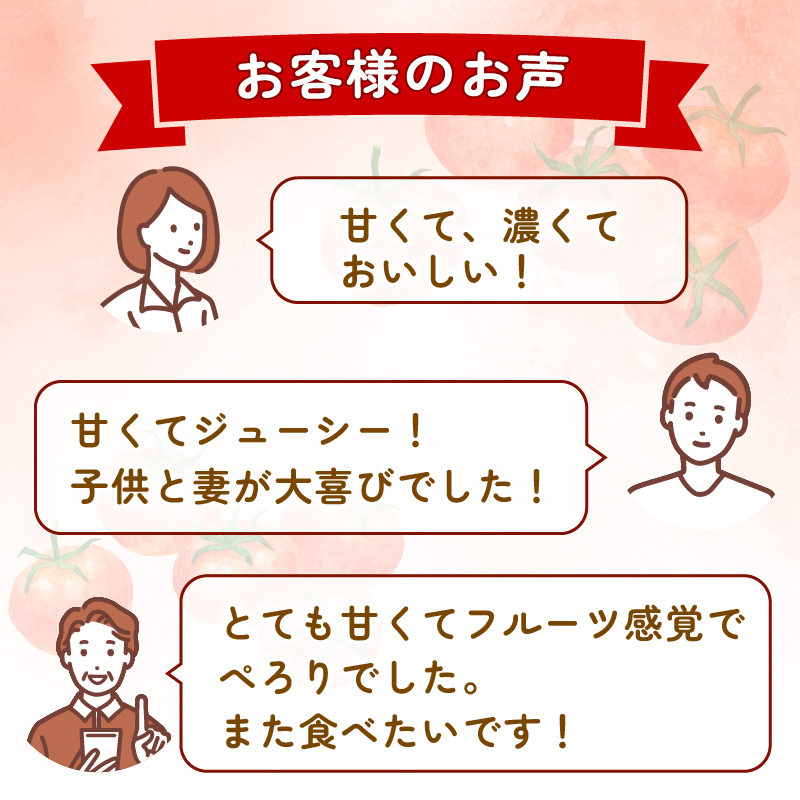 フルティカトマト 2kg | トマト フルティカトマト とまと フルーツ 果物 野菜 厳選 人気 ギフト プレゼント 贈り物 くだもの 旬 お取り寄せ 甘い 産地直送トマト 季節限定 期間限定 西島園