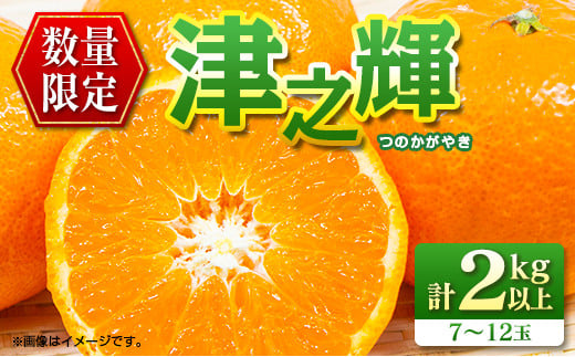 
先行予約 数量限定 津之輝 つのかがやき 2kg以上 (2kg×1箱) フルーツ 果物 くだもの 柑橘 みかん 国産 食品 おすすめ ギフト 贈り物 贈答 プレゼント お返し お祝い 記念日 デザート おやつ フルーツサンド ジュース 宮崎県 日南市 送料無料_A79-23
