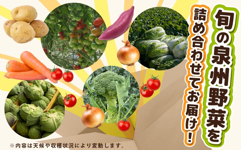 G3452 旬のおまかせ野菜 セット 2～7種類【産地直送 国産 やさい 新鮮 おまかせ 詰め合わせ 詰合せ】