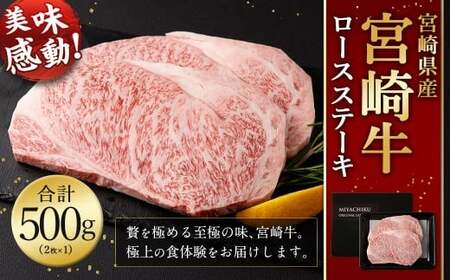 ＜宮崎牛 ロースステーキ 2枚 500g＞入金確認後、翌月末迄に順次出荷【c1191_mc_x2】 新生活応援 卒業祝い 就職祝い 入学 卒業 お花見 引越し