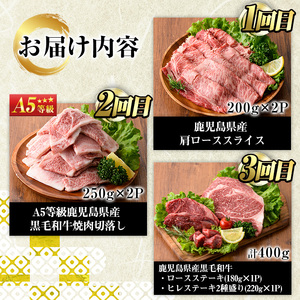 No.1247 ＜定期便・全3回(連続)＞カミチクの定番！鹿児島県産黒毛和牛定期便(合計1.3kg) 牛肉 黒毛和牛 和牛 ステーキ スライス 焼肉 BBQ キャンプ 定期便 頒布会 A5 冷凍 ギフ