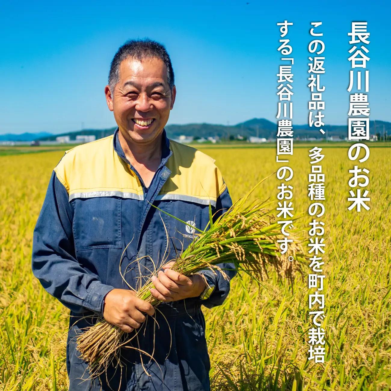 玄米 ゆめぴりか 150g 特A 北海道 特A米 特A こめ 1000円台  2000円 3000円 当麻町 長谷川農園 北海道産 北海道米【B-009】