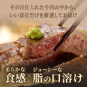 【A4～A5】長崎和牛サーロインステーキ 250g(250g×1枚)【B0-186】 肉 牛肉 牛 長崎和牛 国産牛 サーロイン ステーキ ステーキ肉 お取り寄せ プレゼント ギフト 送料無料 人気 