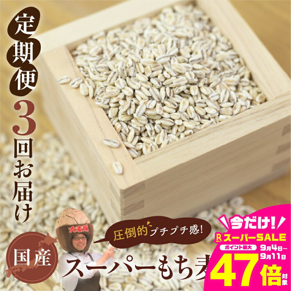 【ふるさと納税】国産スーパー もち麦 3回定期便 （1.8kg × 3）計5.4kg 月に1回お届け 食物繊維 たっぷり もちむぎ 麦 麦ごはん 麦味噌 麦みそ 混ぜて炊くだけ 雑穀米 健康 定期便 3回 愛知県 豊橋市 24000円