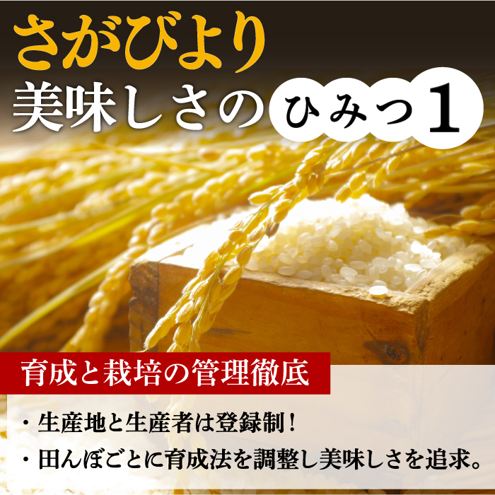 【新米 令和7年産】さがびより 10kg（5kg×2袋） 吉野ヶ里町/増田米穀 [FBM018] 