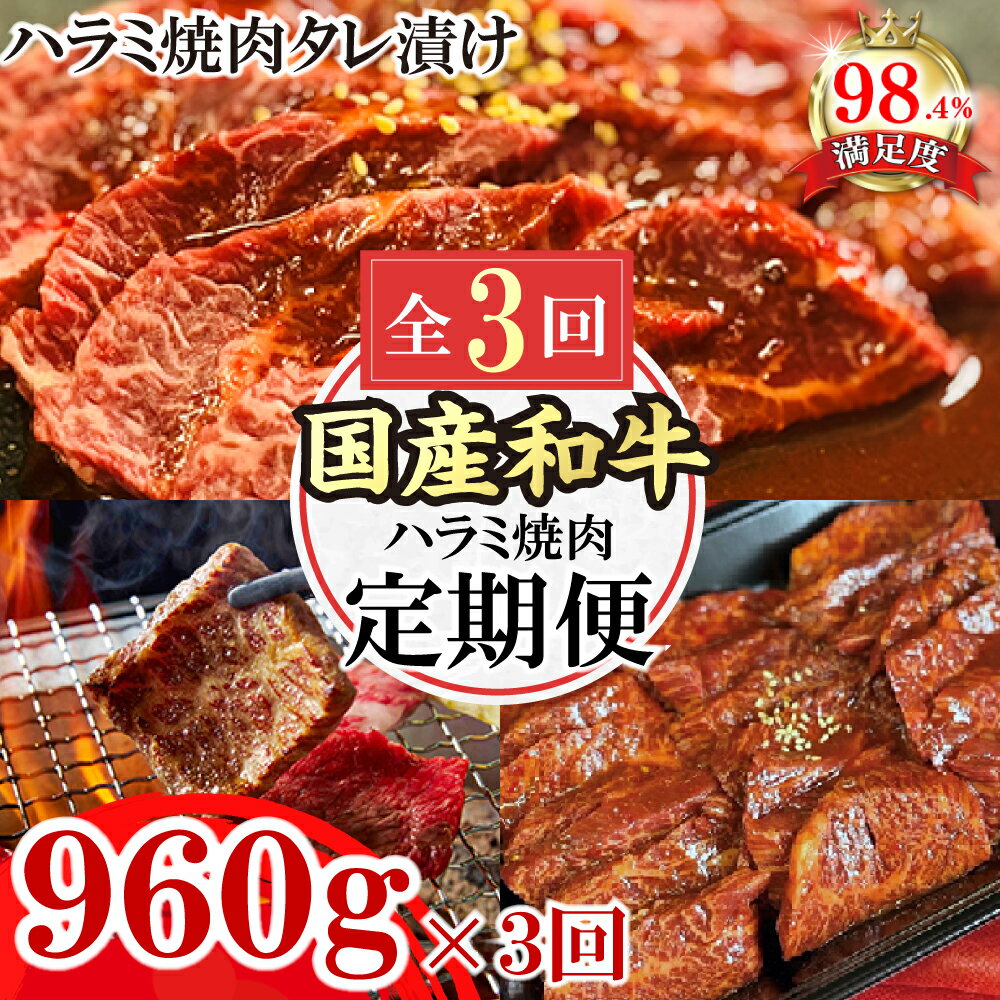 【ふるさと納税】【定期便】定期便　和牛入国産牛　ハラミ焼肉　秘伝の自家製タレ漬け(480g×2)全3回　焼肉　ステーキ　国産　和牛　ハラミ　タレ