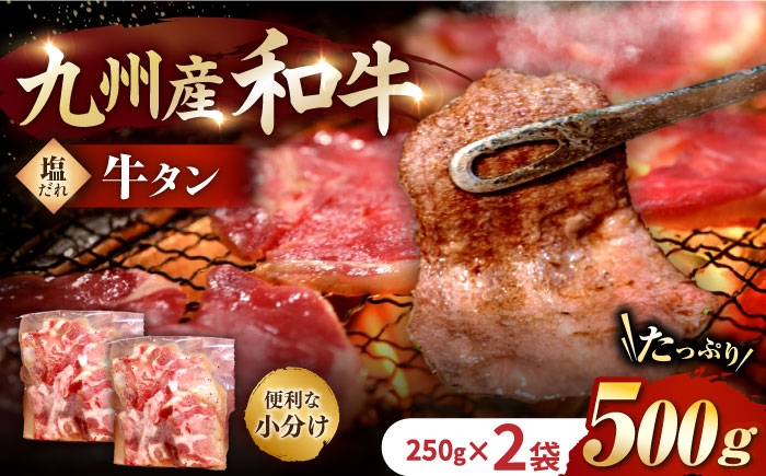 
                  ★1ヶ月以内発送★【塩だれ牛タン】九州産和牛の牛タン500g（約250g×2パック）国産牛タン 長与町/岩永ホルモン [EAX084] 国産 牛たん 牛肉 和牛 タン 牛タン 塩だれ牛タン 塩ダレ牛たん 牛たん塩 味付き ぎゅうたん ギュウタン 牛たん 薄切り スライス 味付き 塩 焼肉 焼き肉 冷凍 焼くだけ牛たん 簡単調理 小分け 真空
                