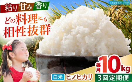 【全3回定期便】 ヒノヒカリ 白米 10kg 【有限会社江北商会】[HDK002]