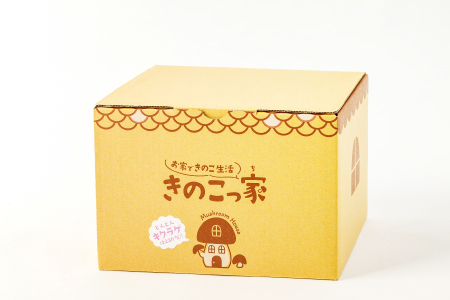 おうちで楽しむ　きくらげ栽培キット　きのこっ家【きのこ きくらげ 木耳 栽培 キット 菌床 1個】