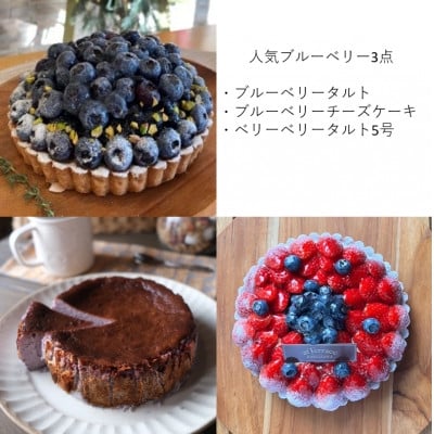 
            ＜毎月定期便＞軽井沢の農園パティスリー 人気ブルーベリータルト・チーズケーキの3点セット全3回【4080208】
          