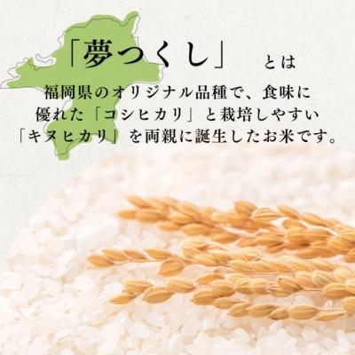 ふるさと納税 小郡市 定期便 12回 特別栽培米 福岡県 小郡産 夢つくし 5kg 米[No5354-2298] |  | 01