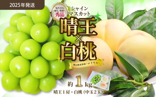 【令和７年発送分】岡山県産 シャインマスカット晴王×白桃 約1kgセット（令和7年7月から8月発送）【 岡山県産 シャインマスカット 秀品 晴王 白桃 ロイヤル 晴れの国おかやま 】