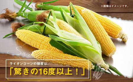 【先行予約】あさひやま動物園ライオンコーン約4kg(ゴールドラッシュ10本)2024年8月下旬～発送開始予定