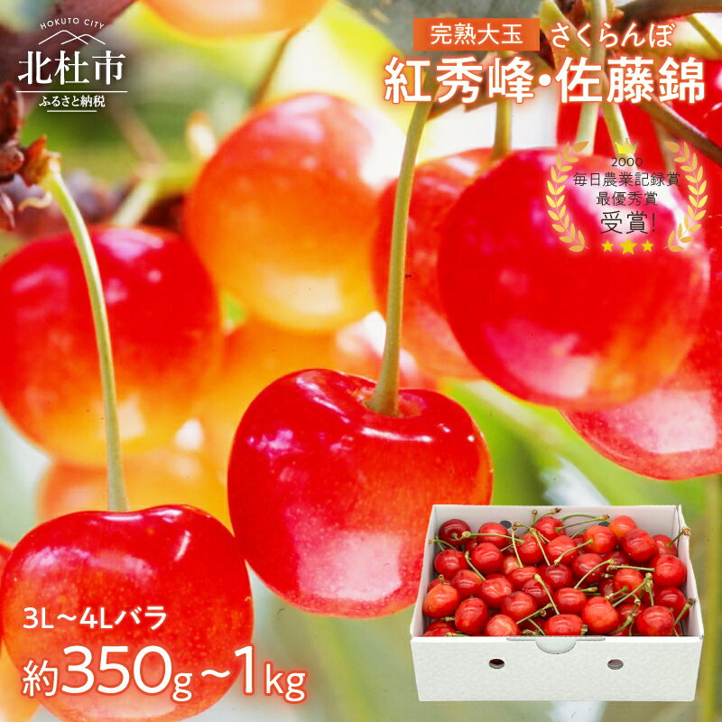 【ふるさと納税】 さくらんぼ 完熟 大玉 バラ 3L～4L サイズ 【2026年発送 先行予約】 選べる容量 約350g 約500g 約700g 約1kg 佐藤錦 紅秀峰 優良系統 チェリー 果物 やまなしGAP認証 フルーツ グランプリ ※2026年6月中旬以降順次発送 岩原果樹園 山梨県 北杜市 送料無料