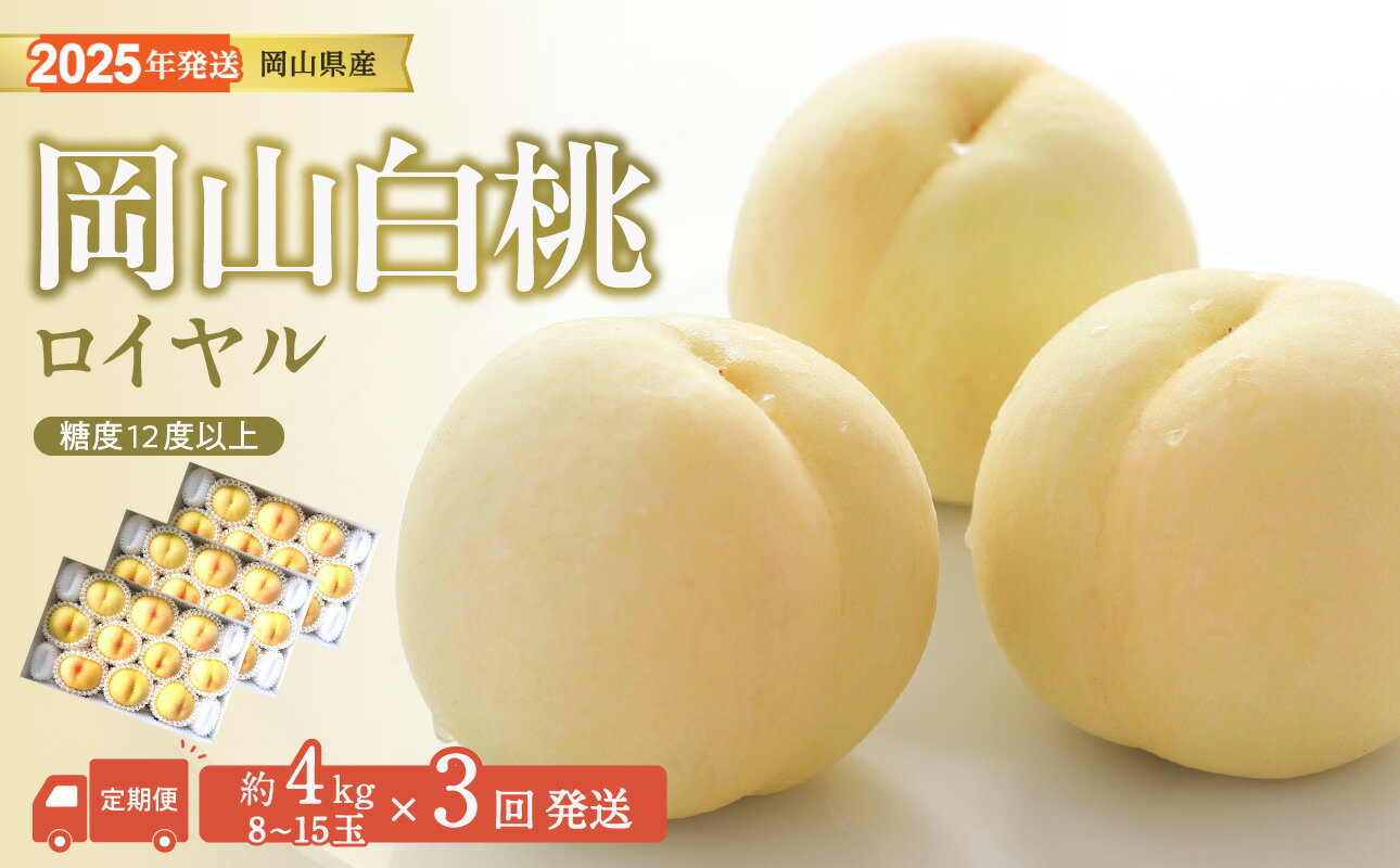 【ふるさと納税】白桃 特秀 ロイヤル 大玉 定期便 約4kg 3回発送 岡山県産 桃 もも 御中元 ギフト 御礼 プレゼント 御礼 御祝 御供 果物 くだもの フルーツ　Jw-7
