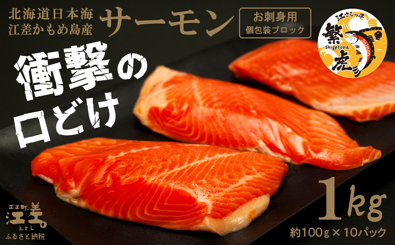 
            ＼配送月指定可／北海道産 サーモン お刺身用ブロック 1kg（100g×10P）　日本海 かもめ島海面養殖　純国産 ブランドサーモン『江さしっ子 繁虎』　衝撃の口どけ　とろける脂　生食可　冷凍　小分け　個包装 　トラウトサーモン　刺身　サーモンステーキ　カルパッチョ　海鮮　鮭　さけ　シャケ　しゃけ　さーもん
          