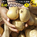 【ふるさと納税】【先行受付】飛子の馬鈴薯 5kg （ 秋じゃが ）[長崎県農産品流通合同会社 長崎県 雲仙市 item0092] 野菜 じゃがいも ジャガイモ 5キロ 期間限定