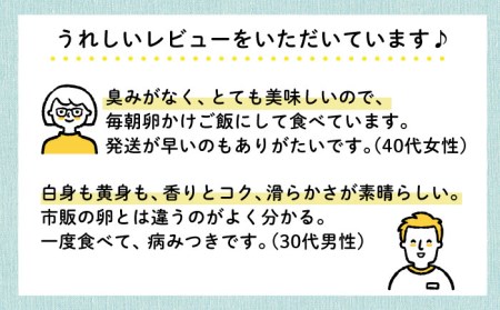 《月2回 × 20個 3ヶ月コース》卵 てつやとのりこの玉子 全6回定期便 糸島市 / 板垣ファーム  [AWD012] 玉子 たまご 卵 ビタミン卵 ミネラル卵 福岡卵 九州卵 ビタミンたまご ミネ